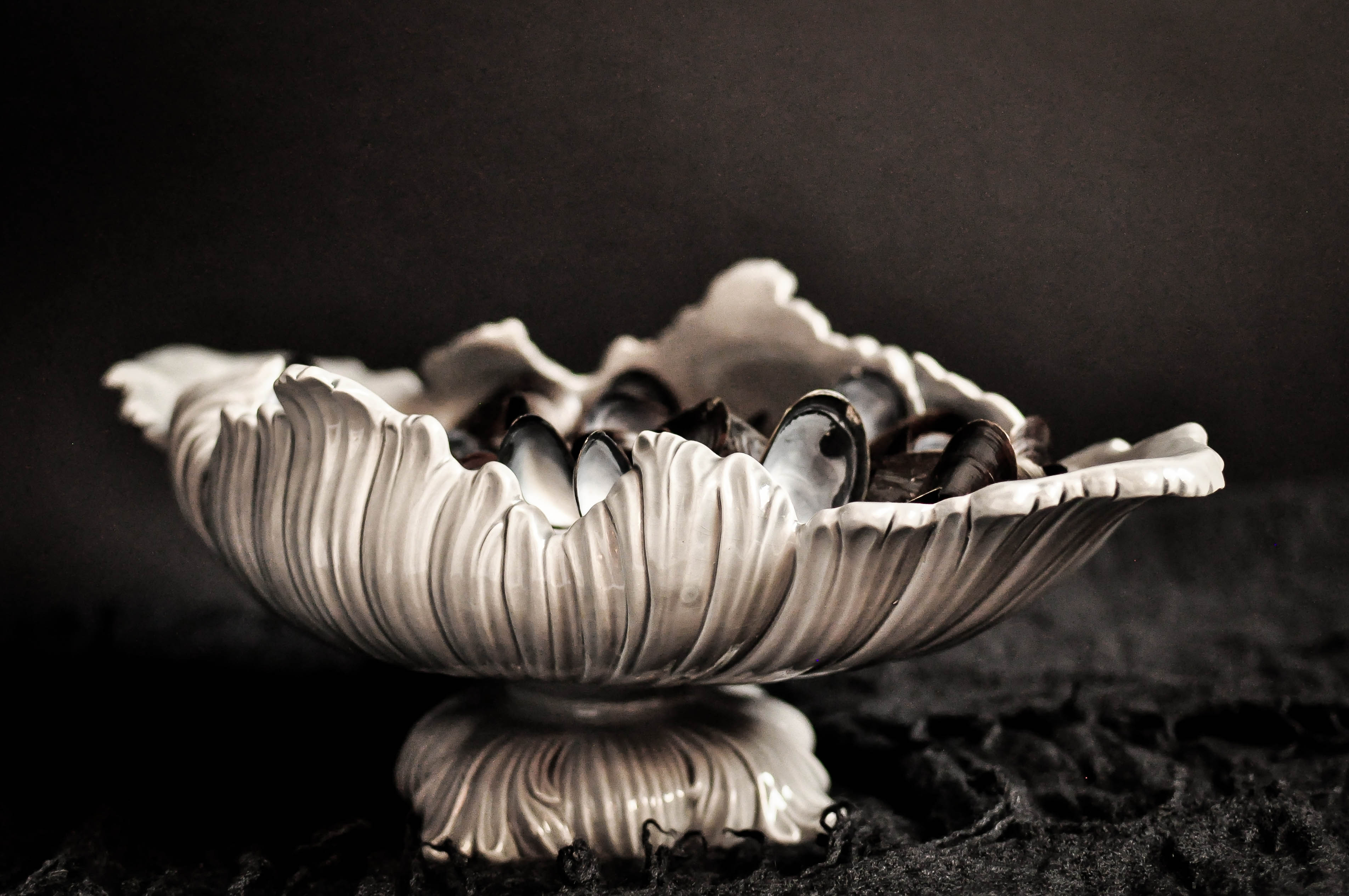 szara patera z muszlami